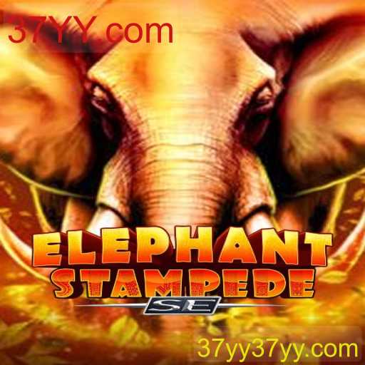 ElephantStampedeSE: O Que Você Precisa Saber